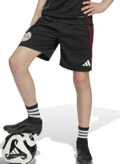 Ajax Amsterdam Tiro 25 Competition Training Short Kids