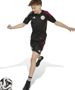 Ajax Amsterdam Tiro 25 Competition Training Short Kids