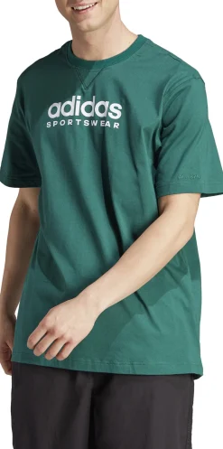 All SZN Graphic shirt
