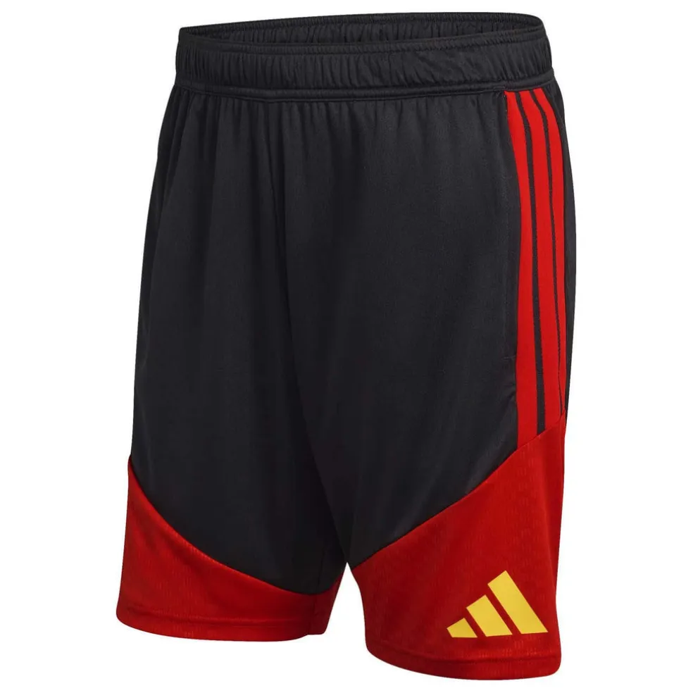België Training Shorts
