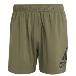 Big Logo CLX Korte zwemshort