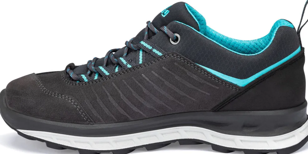 Blueridge Low ES wandelschoenen