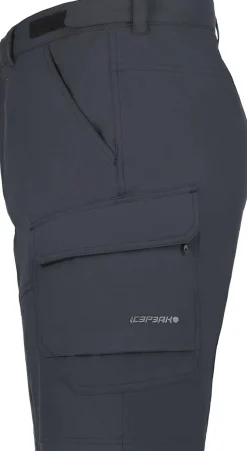 Braswell short