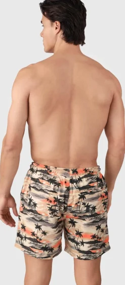 Cester-ao Men Swim Shorts
