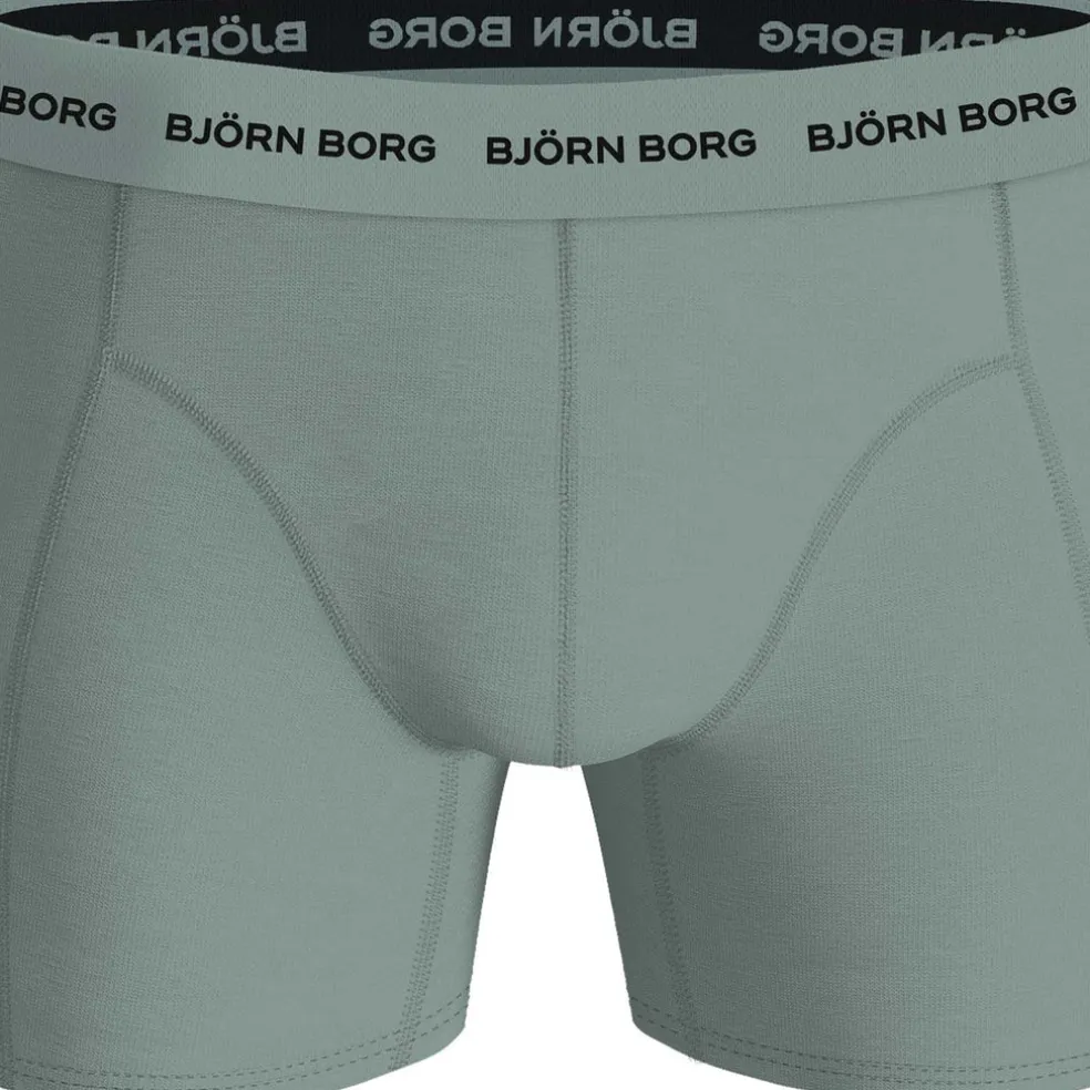 cotton stretch boxer 2p
