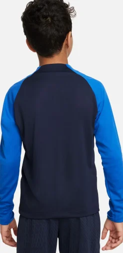 Dri-FIT Academy Pro shirt