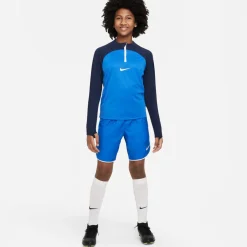Dri-FIT Academy Pro shirt