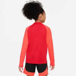Dri-FIT Academy Pro shirt