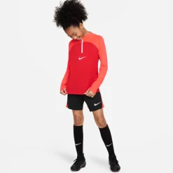 Dri-FIT Academy Pro shirt