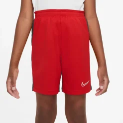 Dri-FIT Academy 23 short