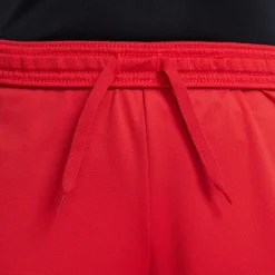 Dri-FIT Academy 23 short