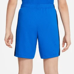 Dri-FIT Academy 23 short
