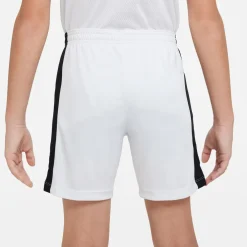 Dri-FIT Academy 23 short