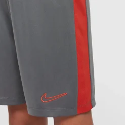 Dri-FIT Academy 23 short