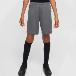 Dri-FIT Academy 23 short
