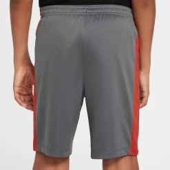 Dri-FIT Academy 23 short