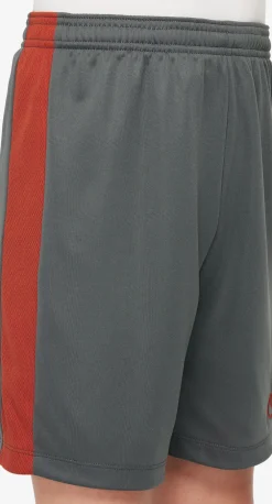 Dri-FIT Academy 23 short