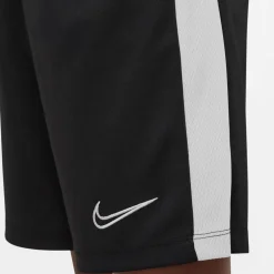 Dri-FIT Academy 23 short