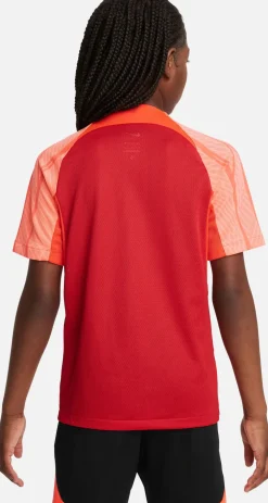 Dri-FIT Strike 3 shirt