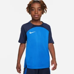 Dri-FIT Strike 3 shirt