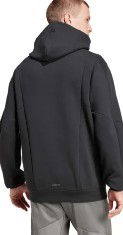 D4T FZ hoodie