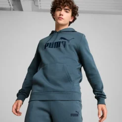 Essential Big Logo hoodie