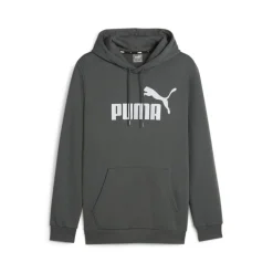 Essential Big Logo hoodie