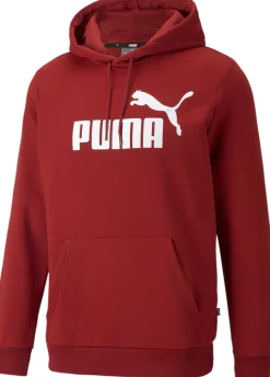 Essential Big Logo hoodie