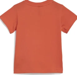 Essentials Organic Cotton trainingspak