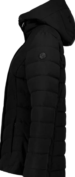 Haukka jas