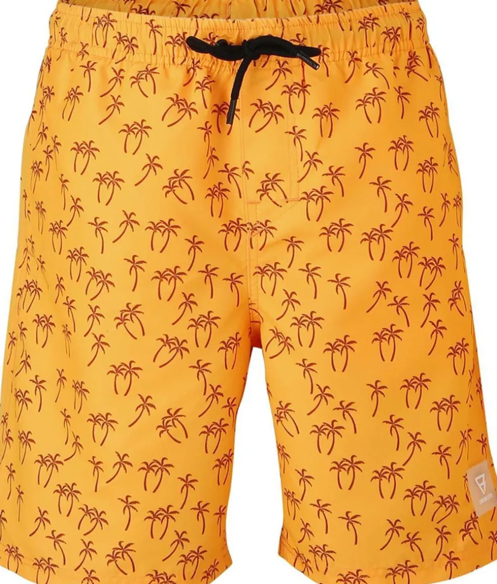 Hestey-ao Boys Swimshort