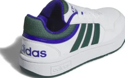 Hoops sneakers