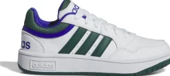 Hoops sneakers