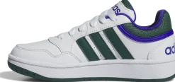 Hoops sneakers