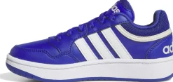 Hoops sneakers