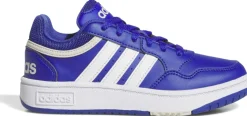 Hoops sneakers
