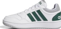 Hoops sneakers