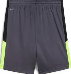 IndividualLIGA Train Short