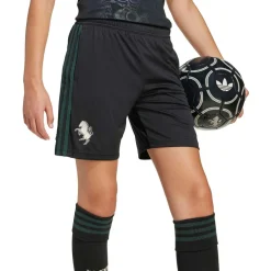 Juventus 25/26 Derde Short Kids