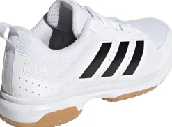 Ligra 7 zaalschoenen