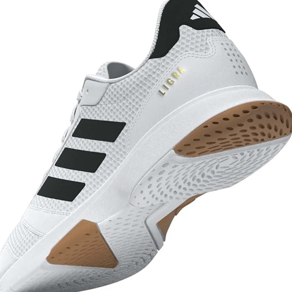 Ligra 8 zaalschoenen