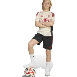 Liverpool FC Tiro 25 Competition Training Short Kids