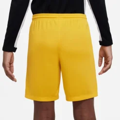 NIKE DRI-FIT PARK III BIG KIDS