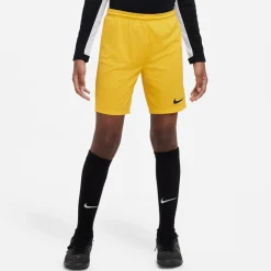 NIKE DRI-FIT PARK III BIG KIDS