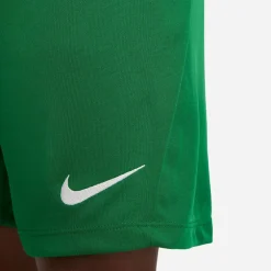 NIKE DRI-FIT PARK III BIG KIDS