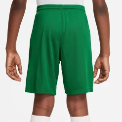 NIKE DRI-FIT PARK III BIG KIDS