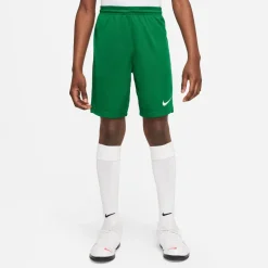 NIKE DRI-FIT PARK III BIG KIDS