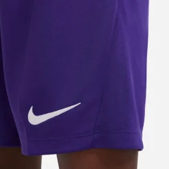 NIKE DRI-FIT PARK III BIG KIDS