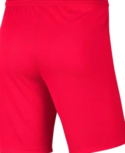 NIKE DRI-FIT PARK III BIG KIDS