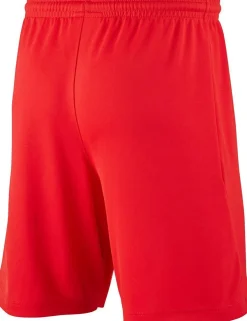 NIKE DRI-FIT PARK III BIG KIDS